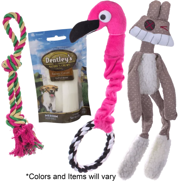 Dog Toy Bundle (Set of 4)