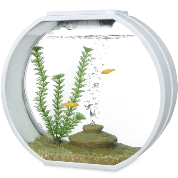 Complete Aquarium Kits 10L (small) or 20L (medium)