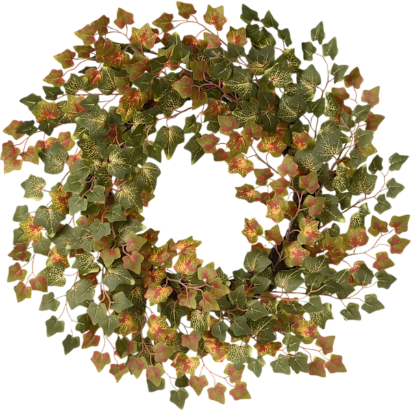 National Tree Company 24" Green Ivy Harvest Wreath