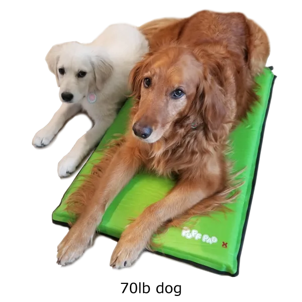 Hugs Puff Pad Self-Inflating Pet Bed