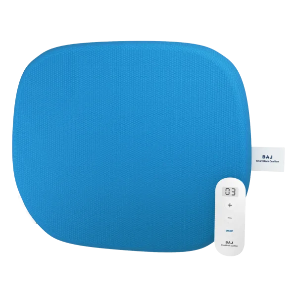 BAJ Smart Adjustable Back Cushion