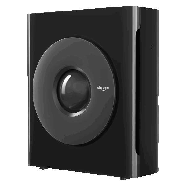 Okaysou Apollo 810GT 5-Stage True HEPA Air Purifier
