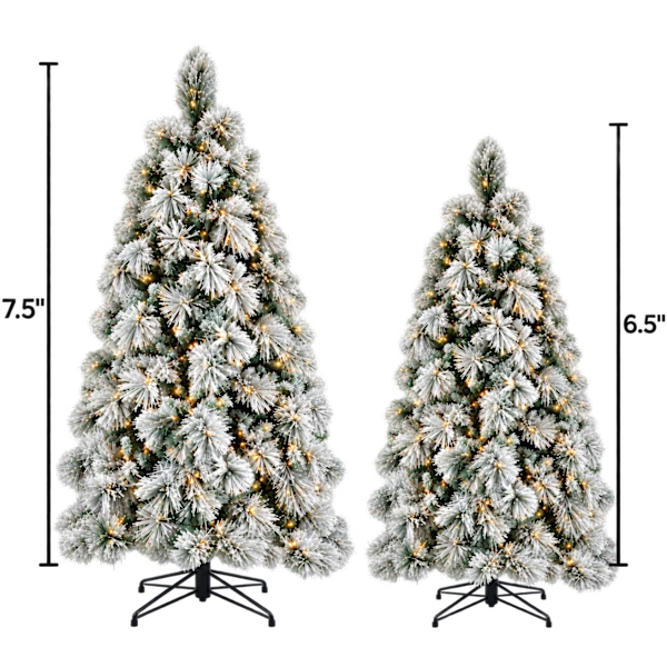 National Tree Company Flocked Bavarian Pine Trees with Clear Lights