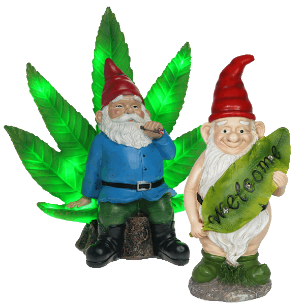 Pick-Your-2-Pack: Exhart Gnomes