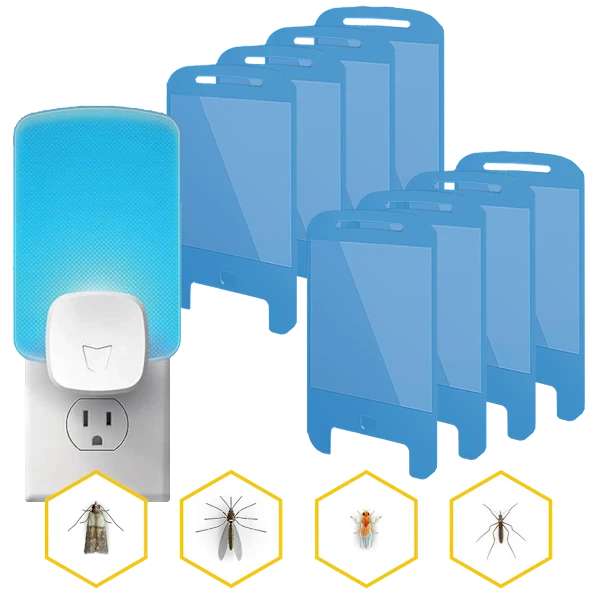 Raid Essentials 10-Piece Flying Insect Light Trap Set (1 Base + 9 Glue Traps)