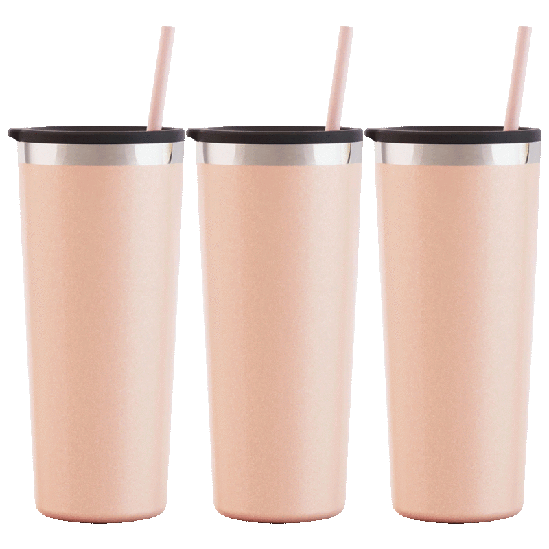 The Insulated Stainless Steel Tumblers Set