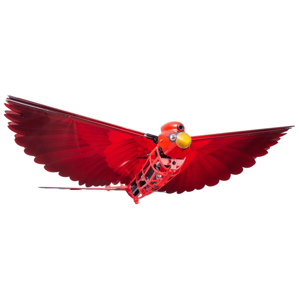 Cardinal