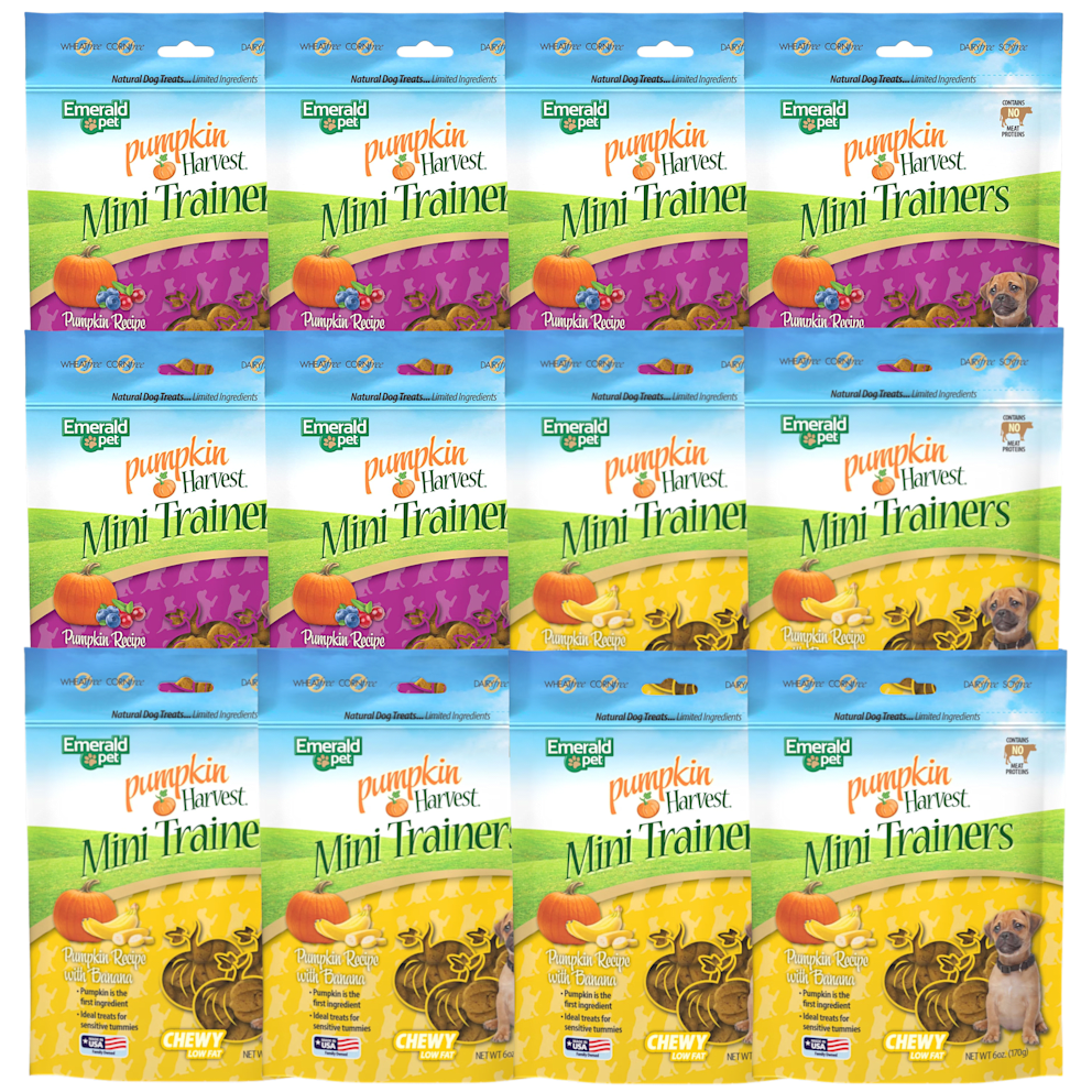 Mini Trainers - Variety Pack