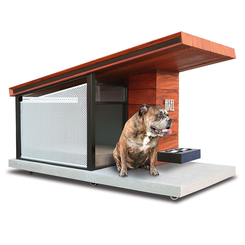 The Canine's Passive Solar Condominium