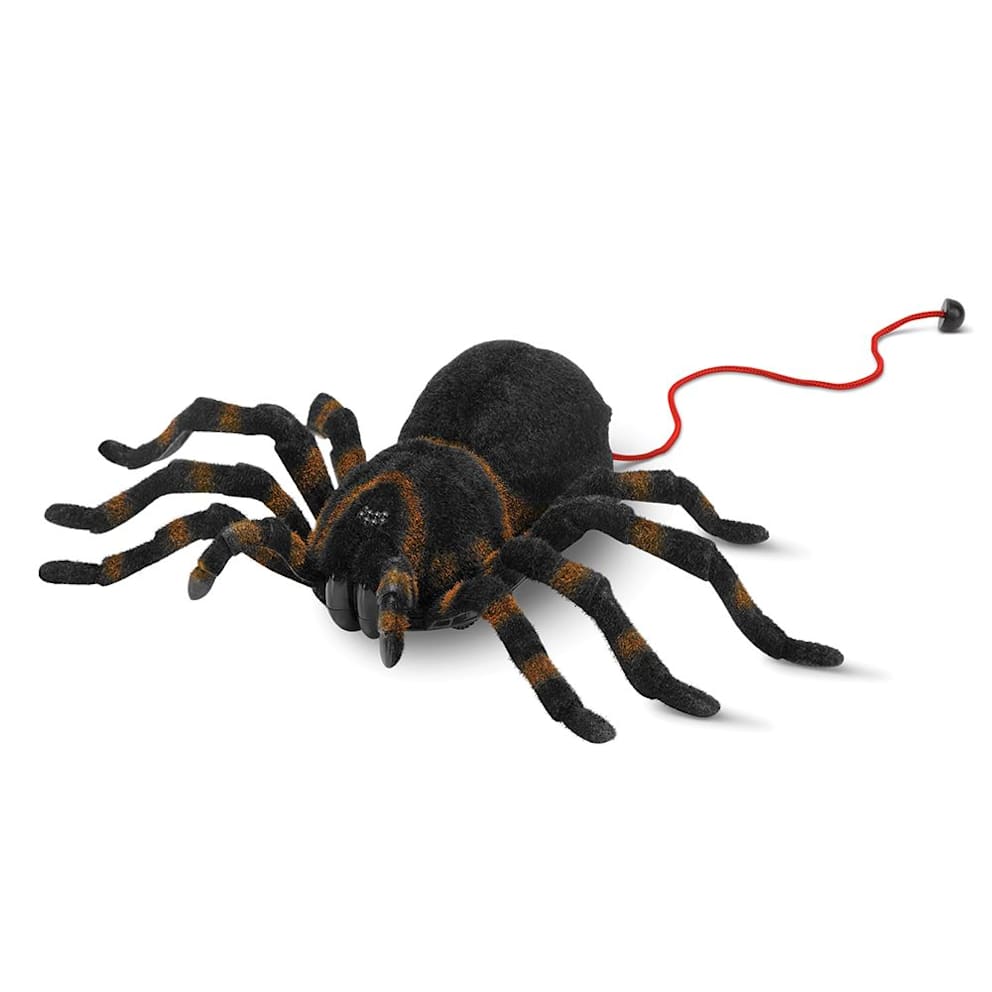 The Remote Controlled Giant Tarantula