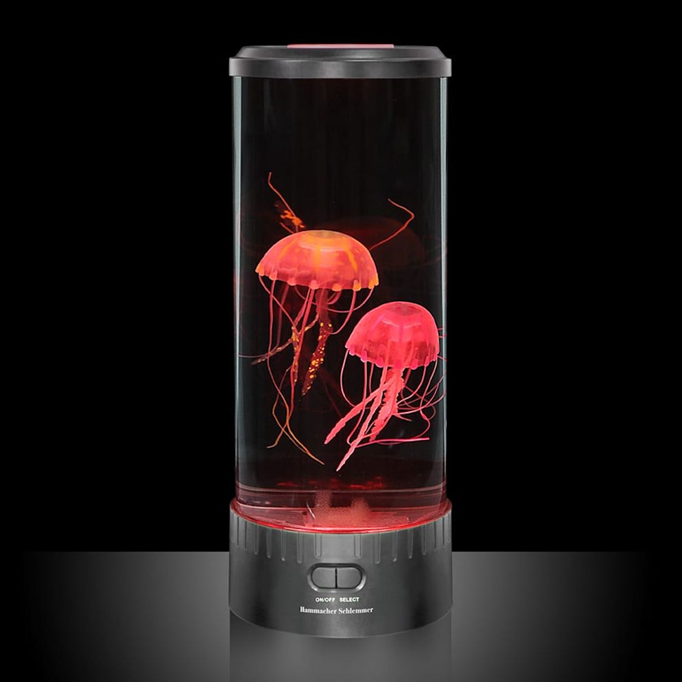 The Hypnotic Jellyfish Aquarium