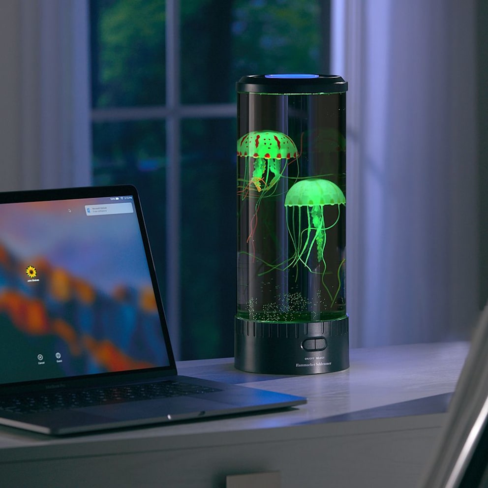 The Hypnotic Jellyfish Aquarium