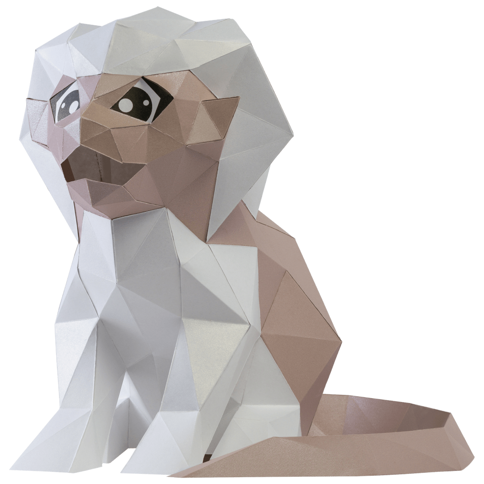 Tamarin