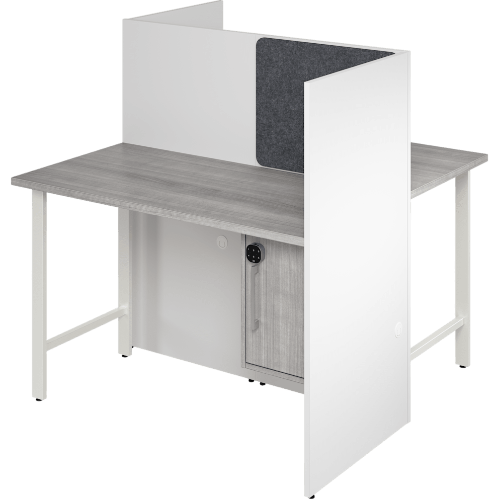 White/Platinum Gray