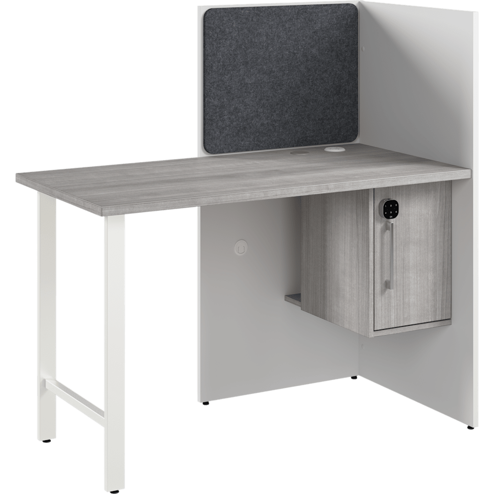 White/Platinum Gray