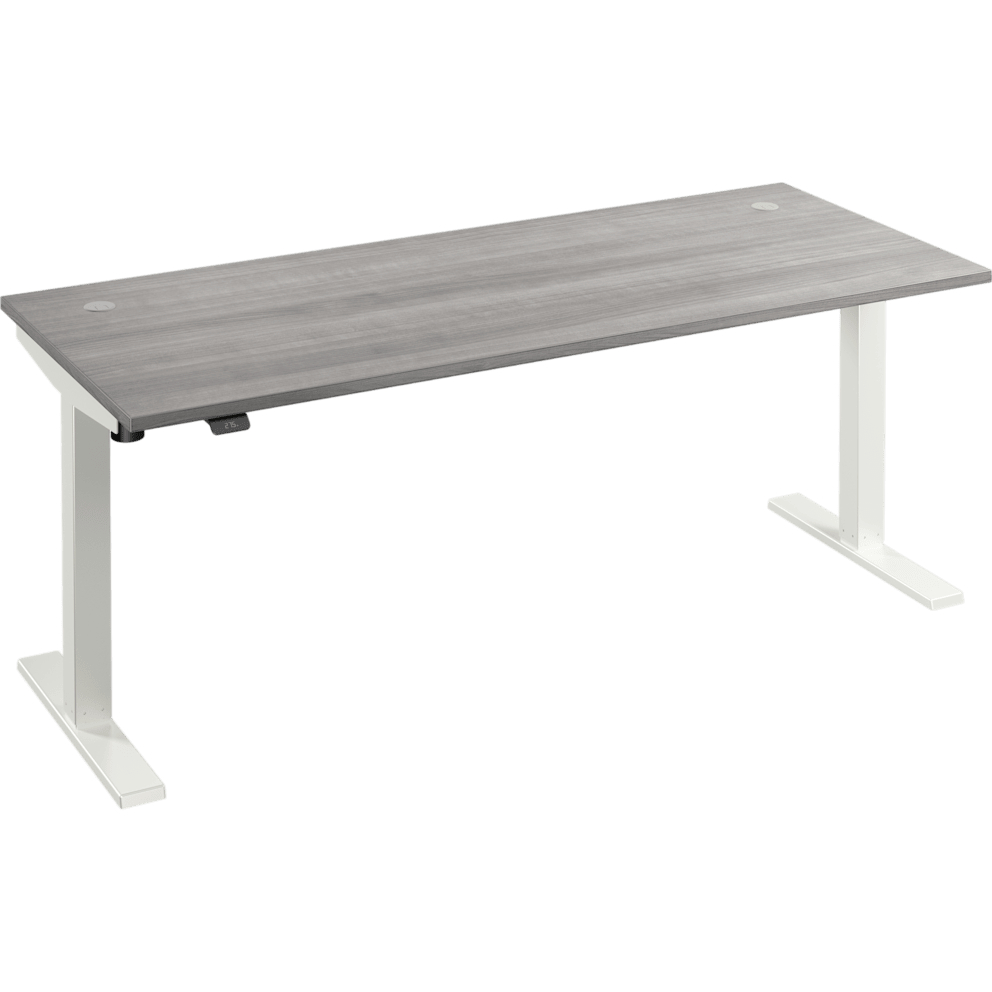 Platinum Gray/White Powder Coat