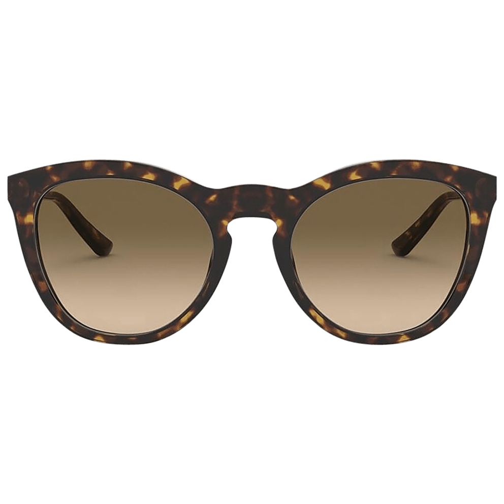 Havana Frames / Brown Gradient Lenses