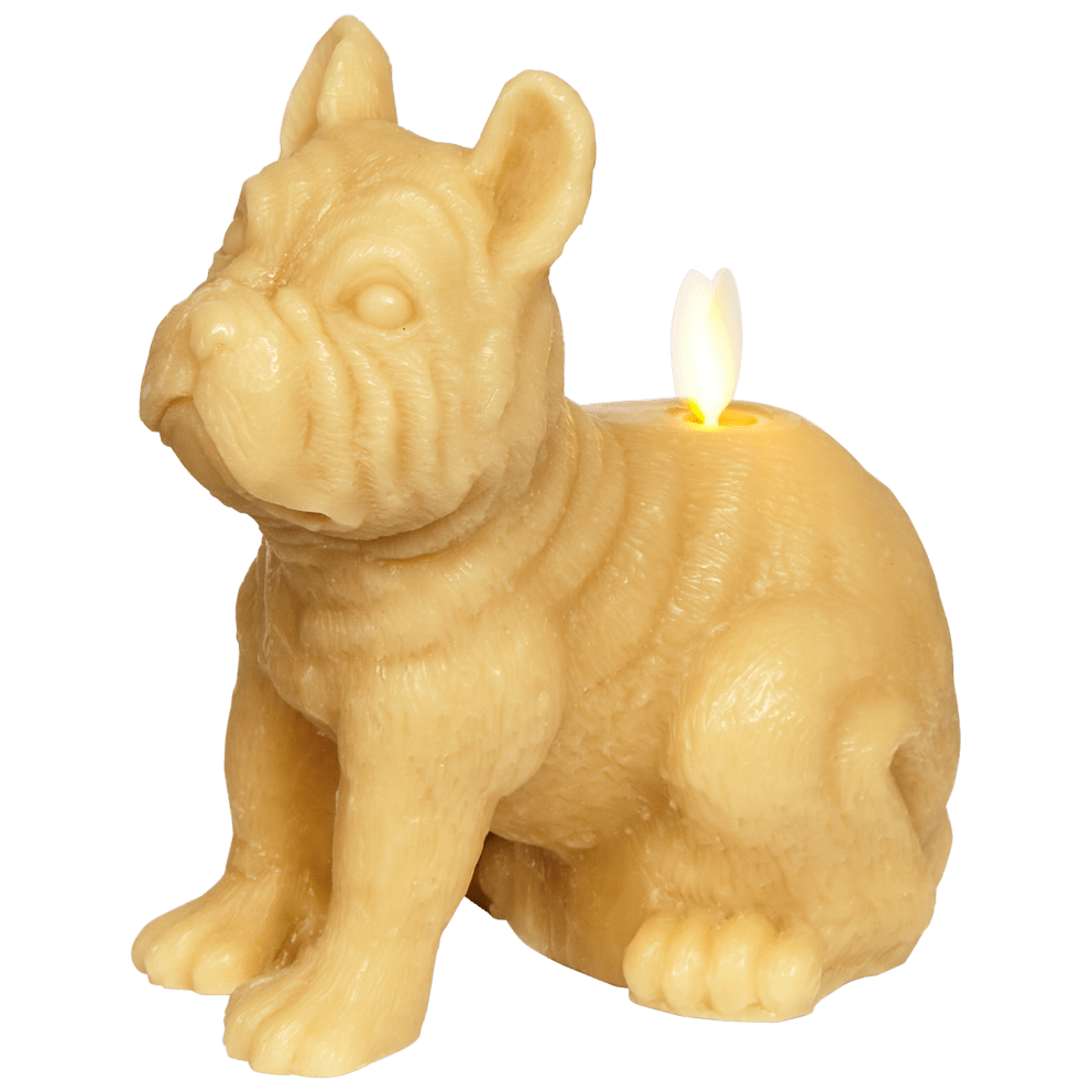 Frenchie in Gold