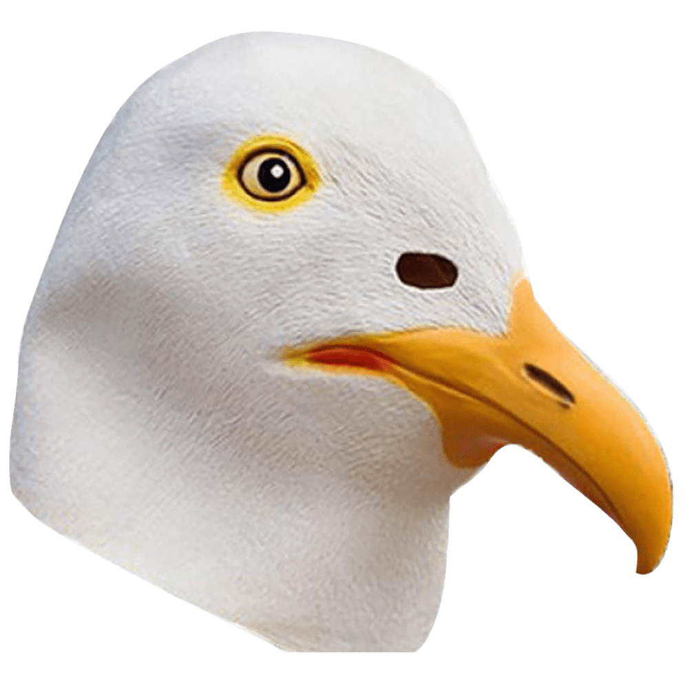 Seagull