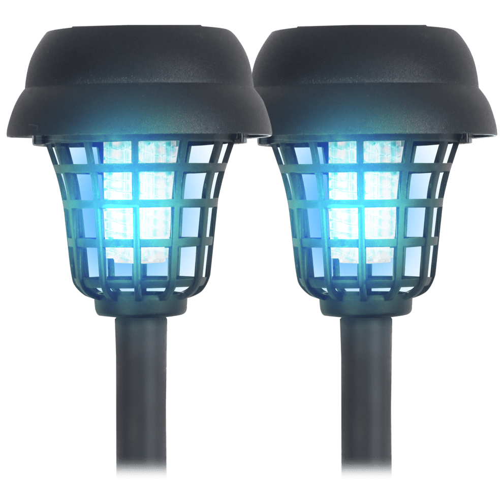 2-Pack