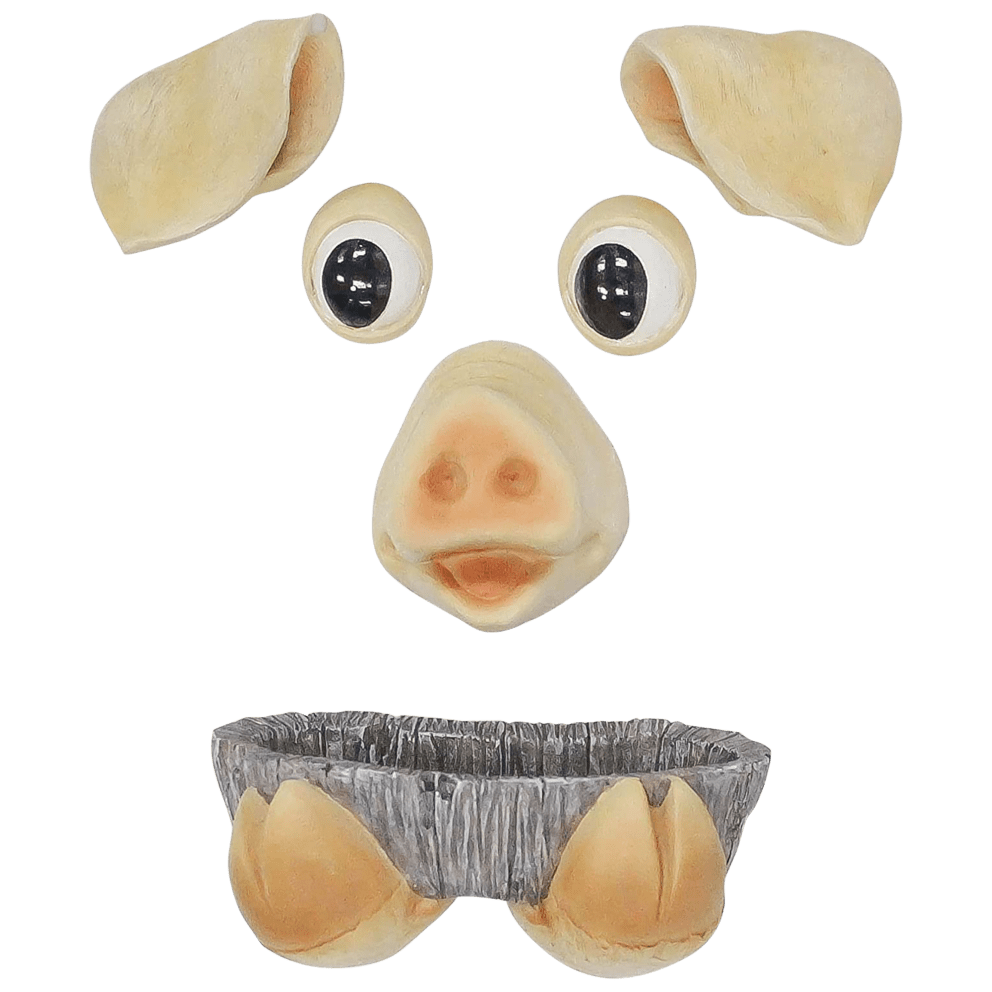 Pig