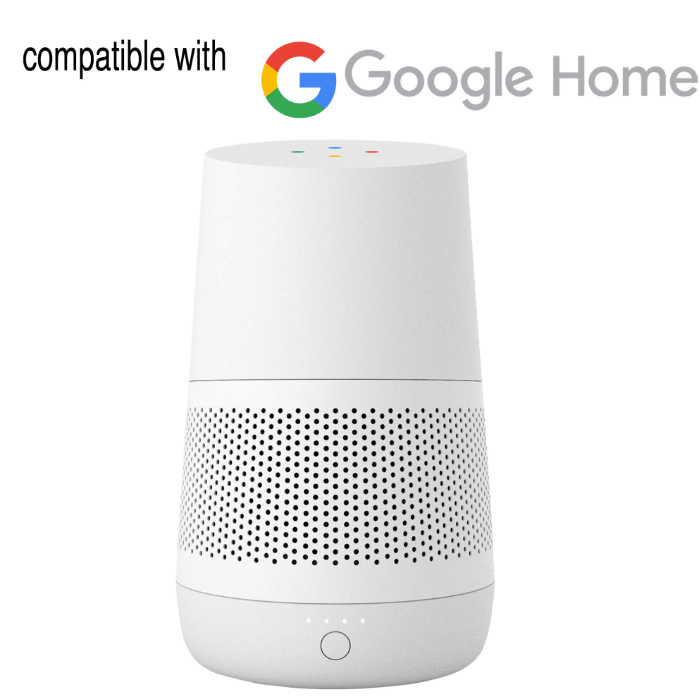 Google Home Not Included