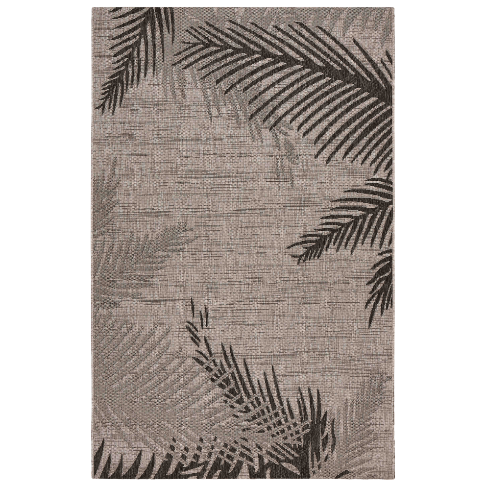 Touch of Palm
