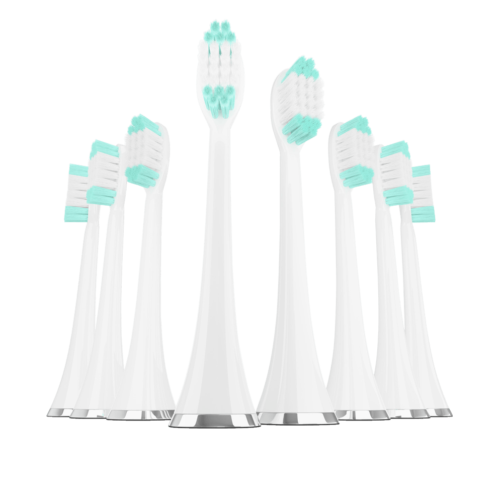 Eight DuPont Engineered Brush Heads