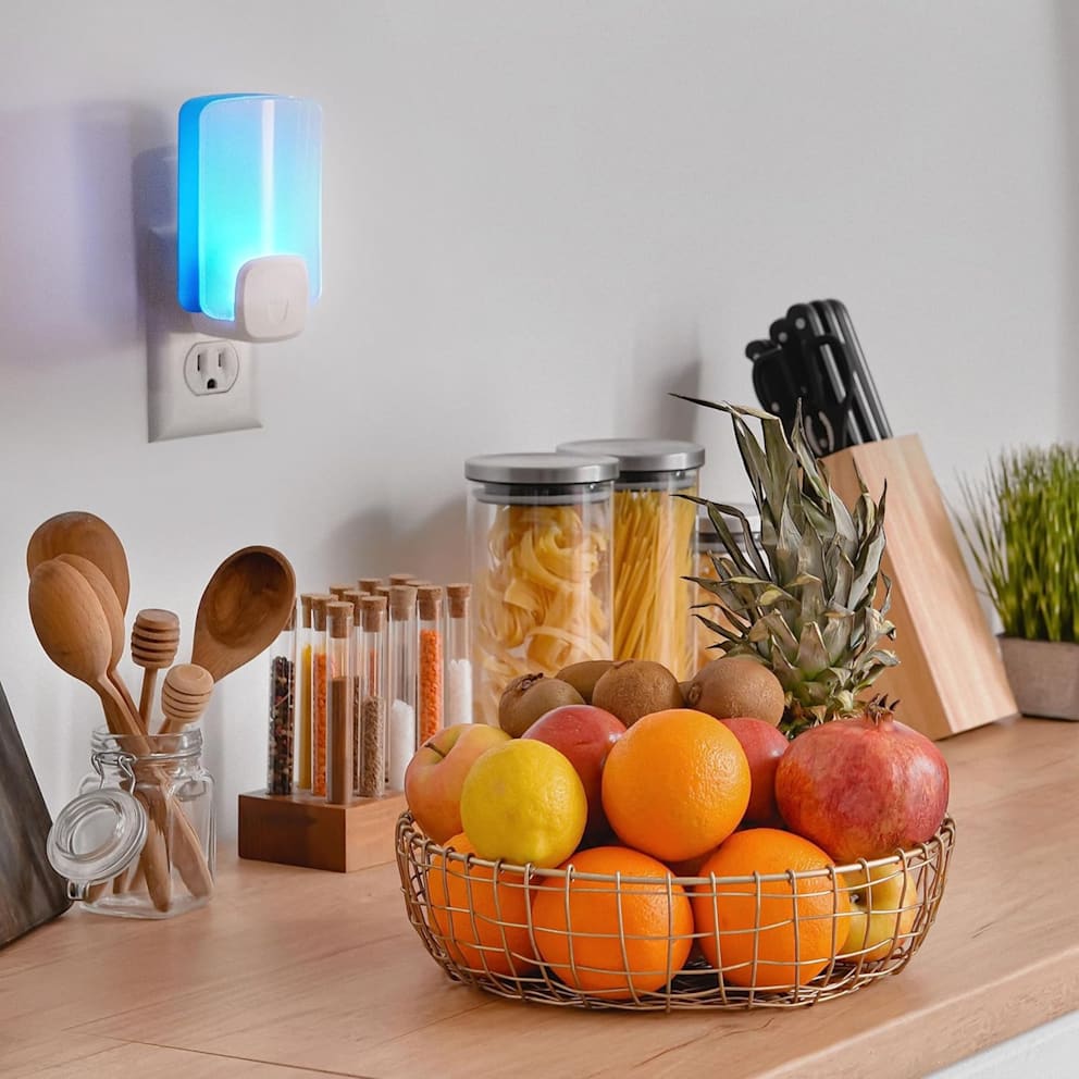 Free of chemical insecticides for worry-free indoor use.