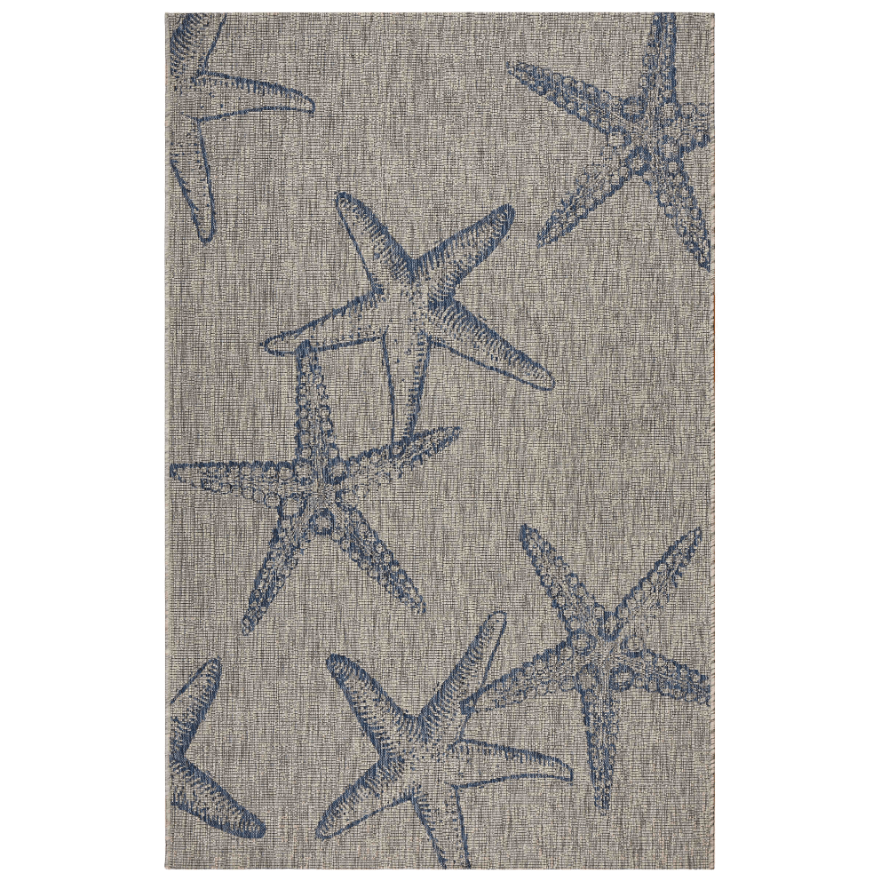 Blue Starfish Constellation