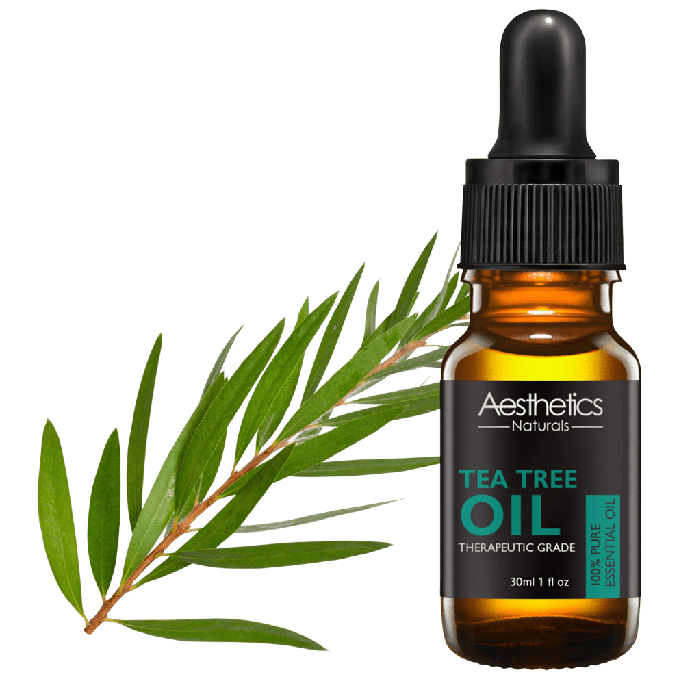 Tea Tree