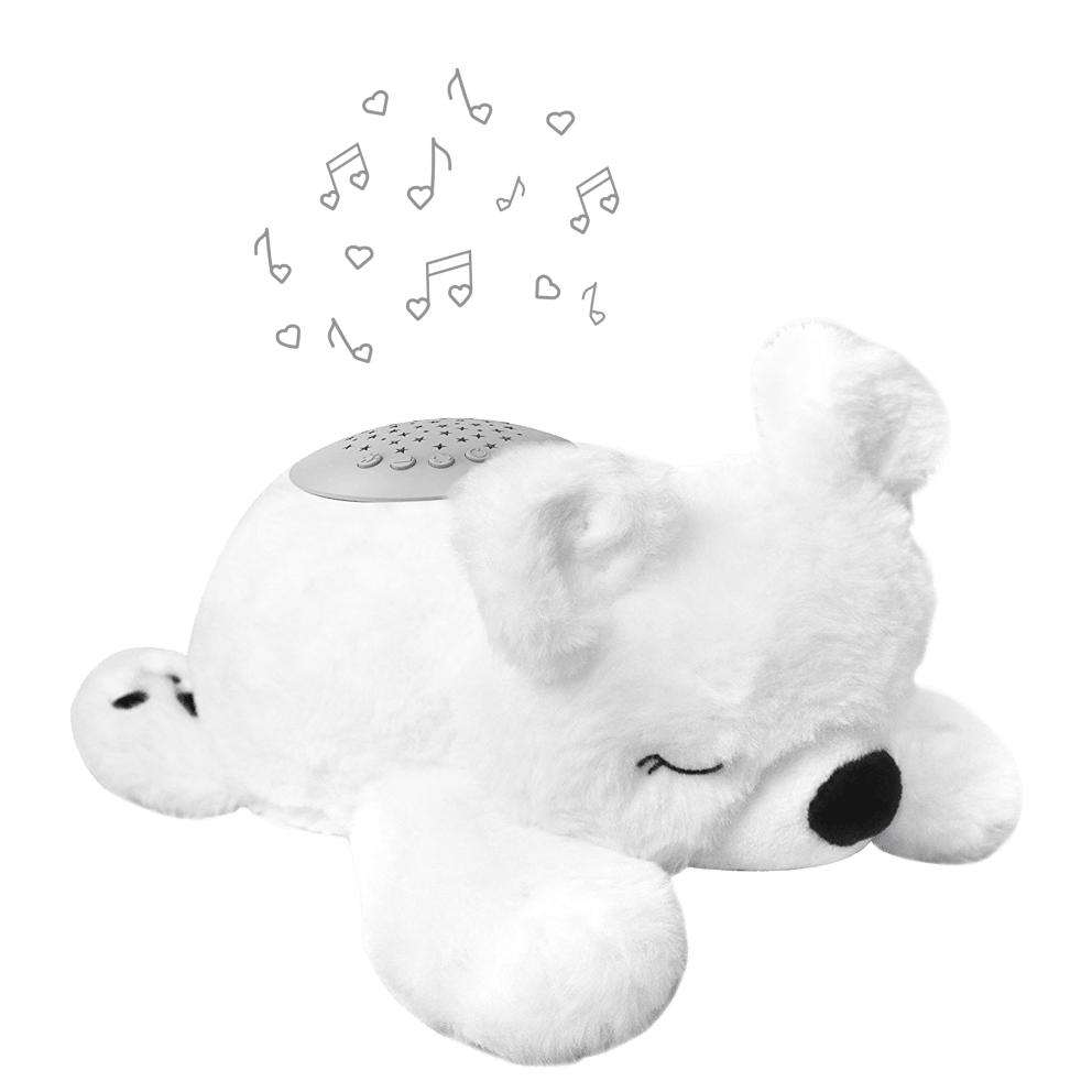 Polar Bear