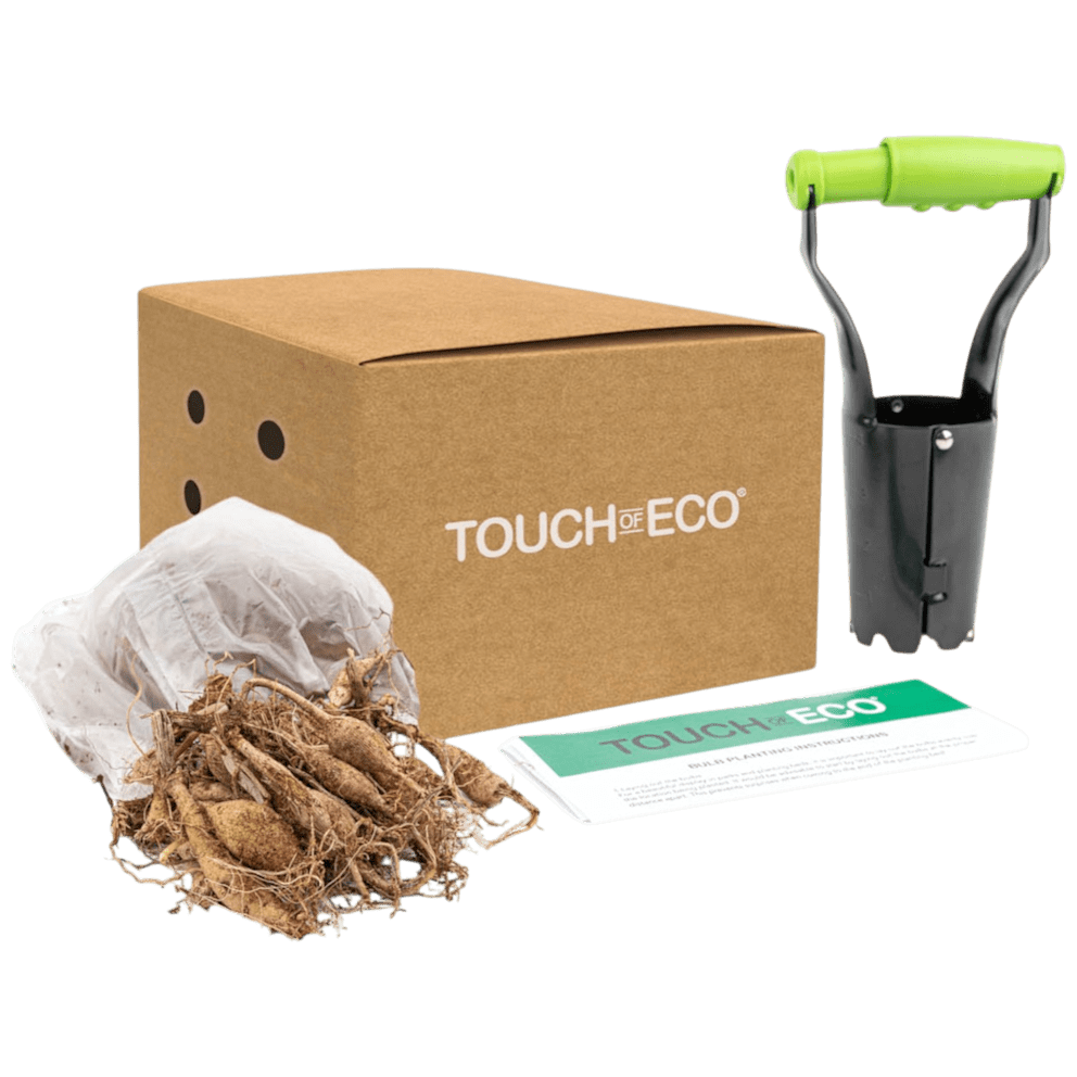 30 Bulbs with Planting Tool