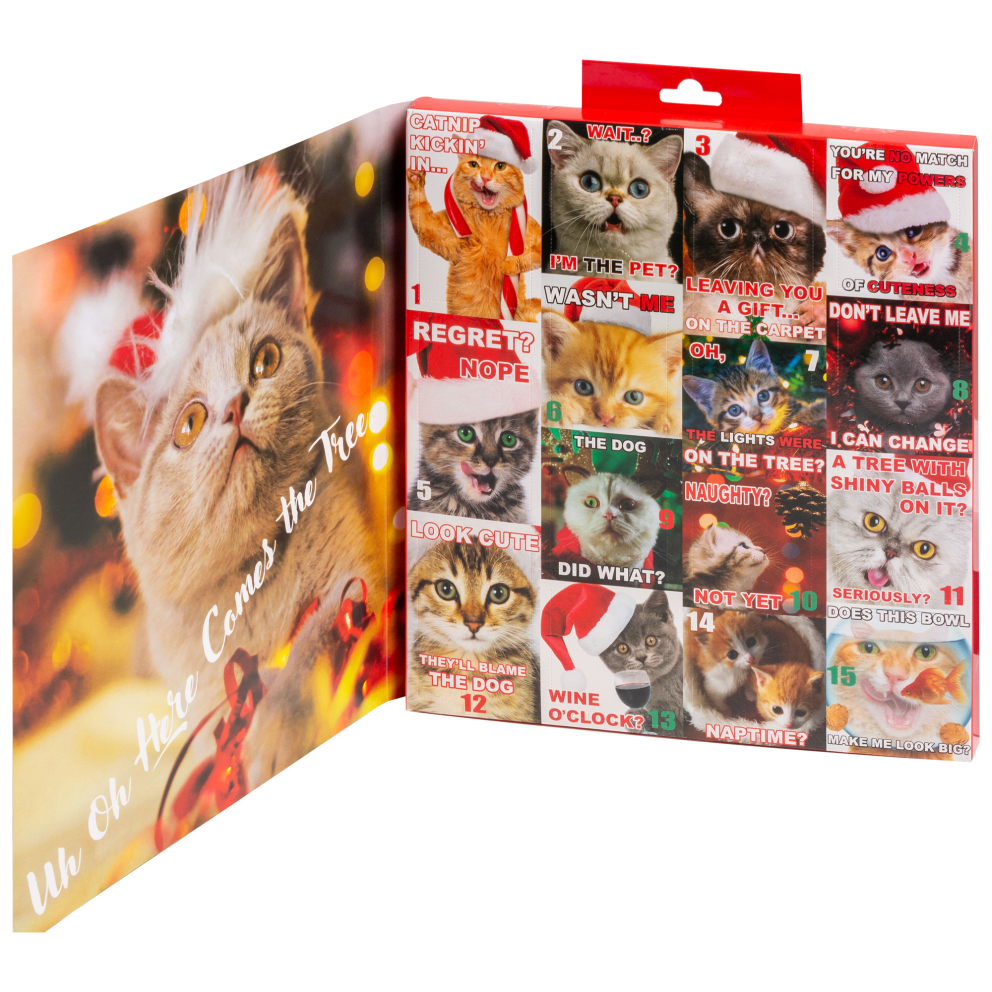 Cats