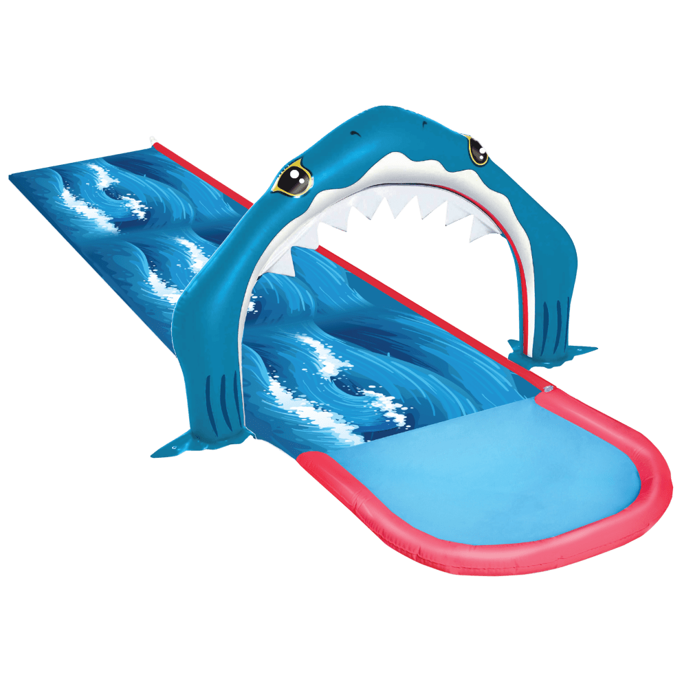Shark