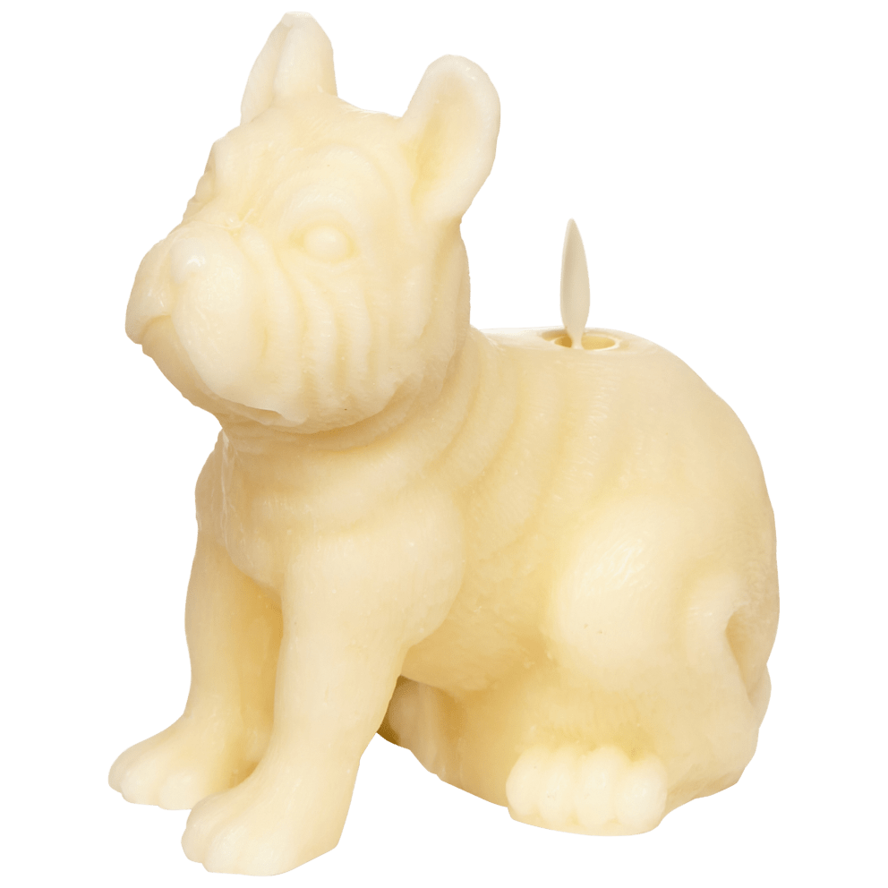 Frenchie in Cream