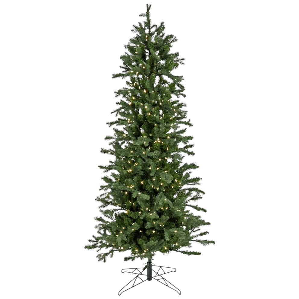 Balsam Fir features a 28" Diameter Base