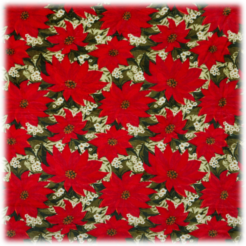 Poinsettia