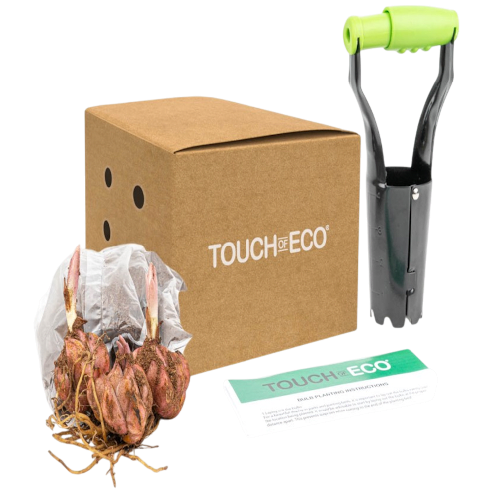 12 Bulbs with Planting Tool