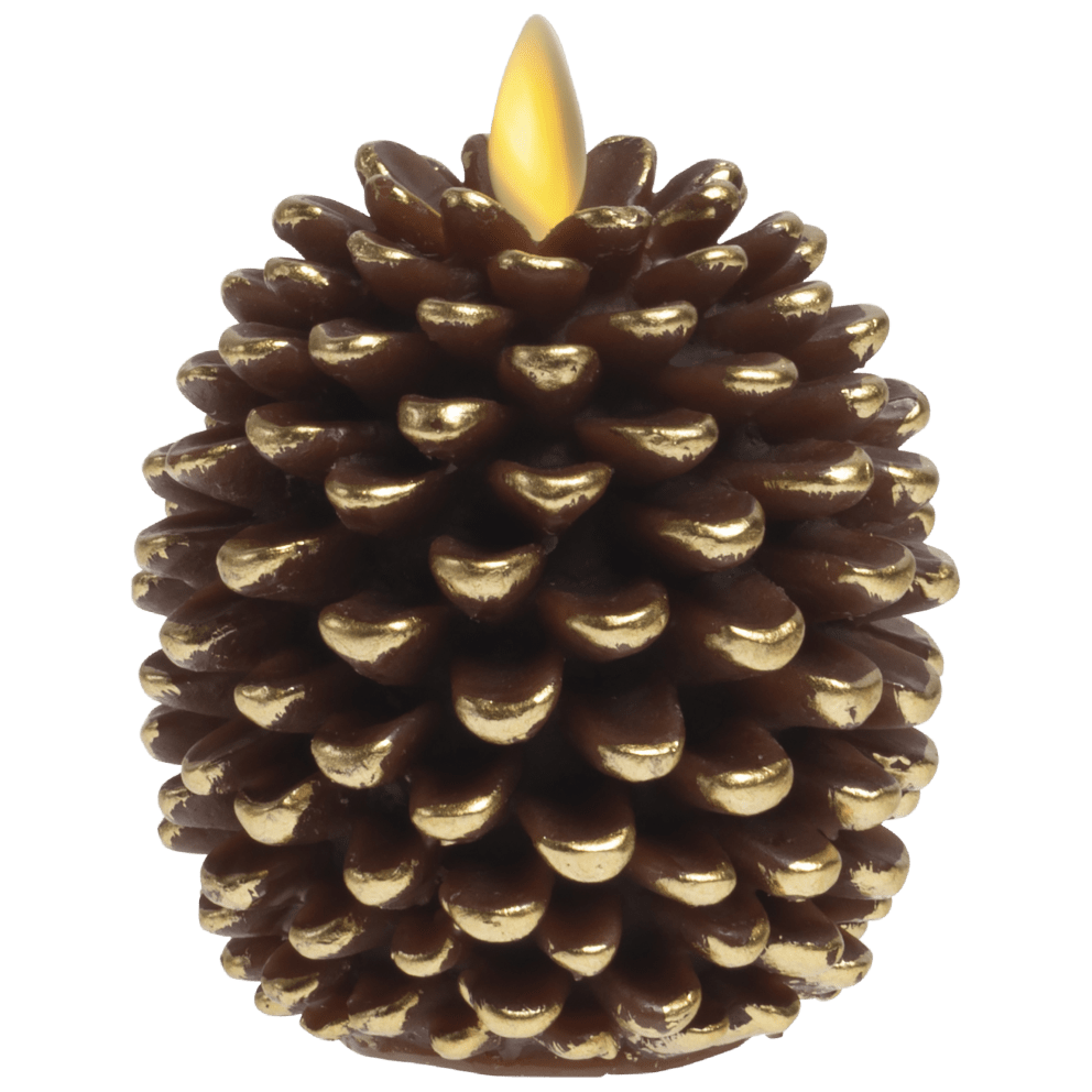 Brown Pinecone