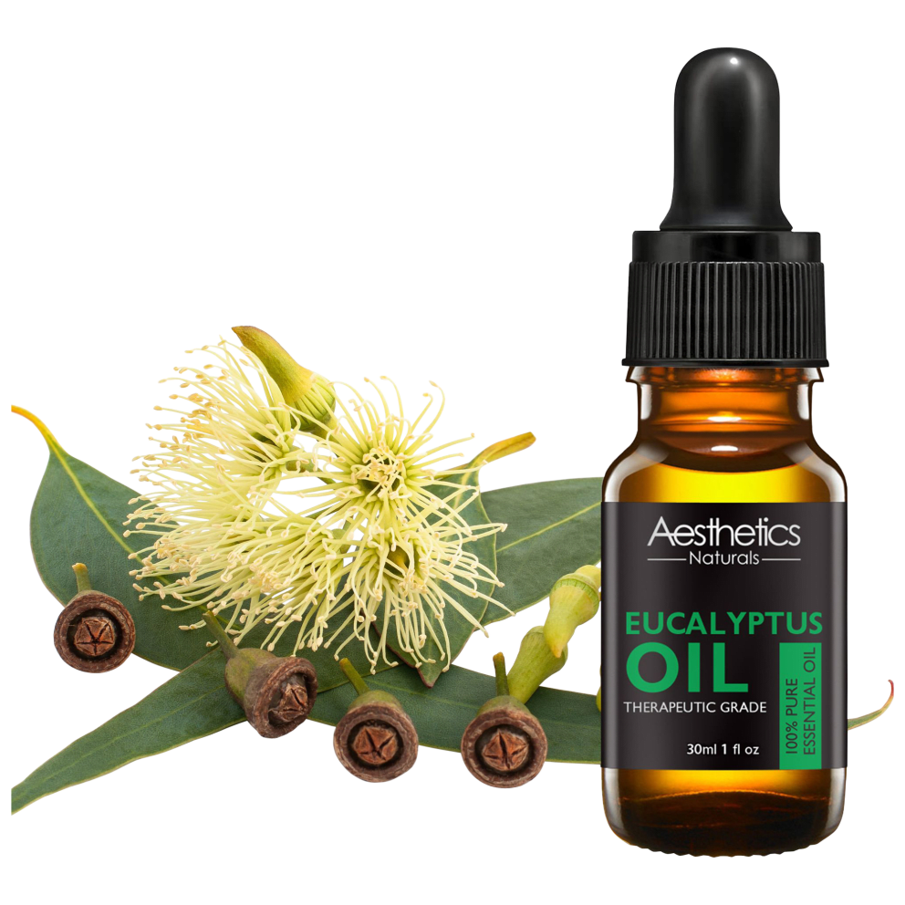 Eucalyptus