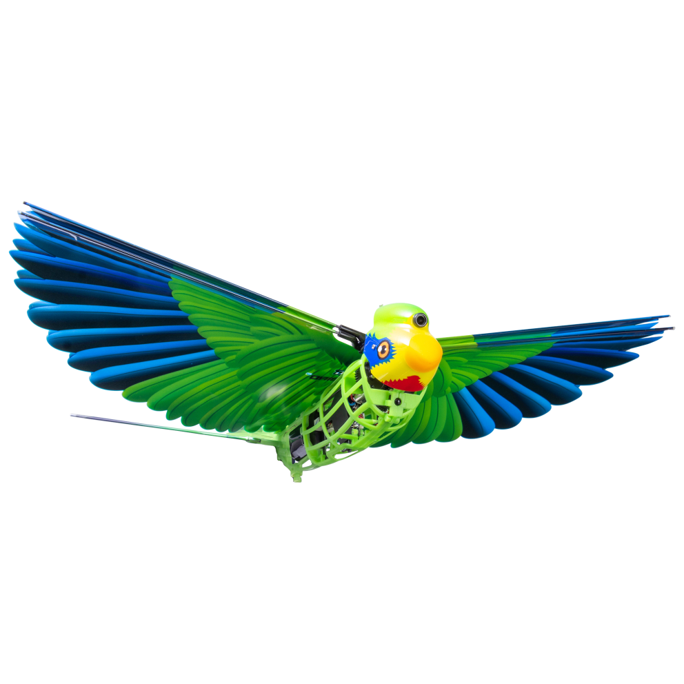 Parrot
