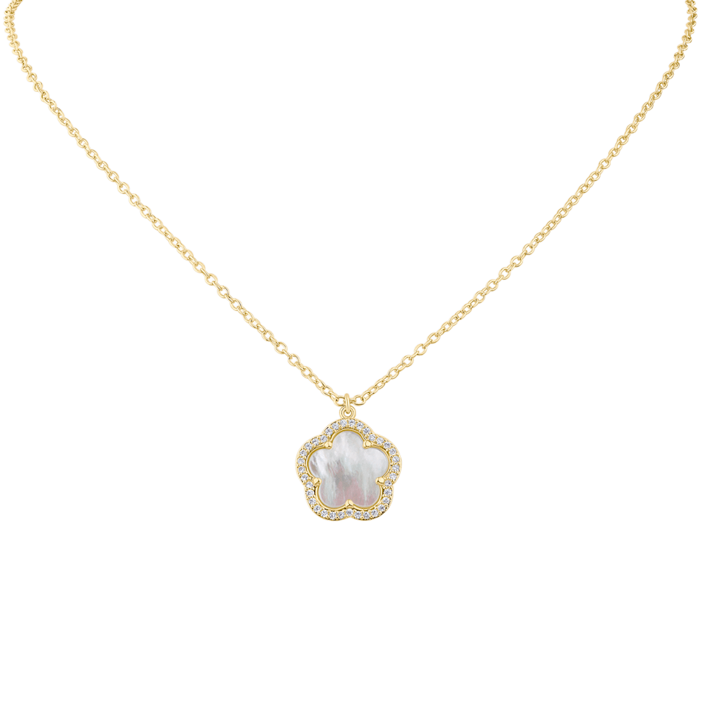  Available in 2 colors