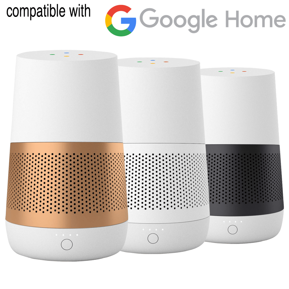 Google Home Not Included