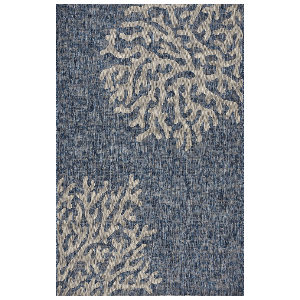 Delicate Reef
