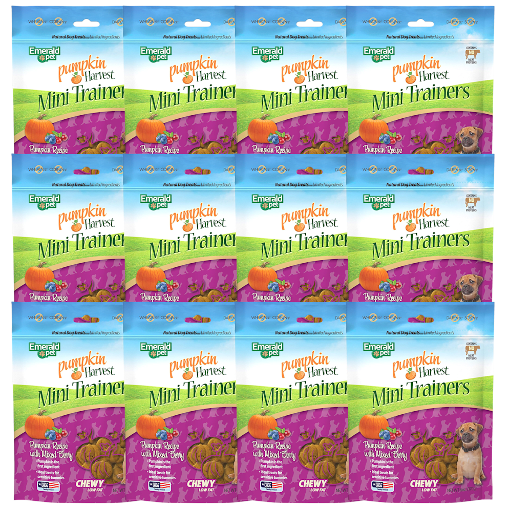 Mini Trainers - Mixed Berry