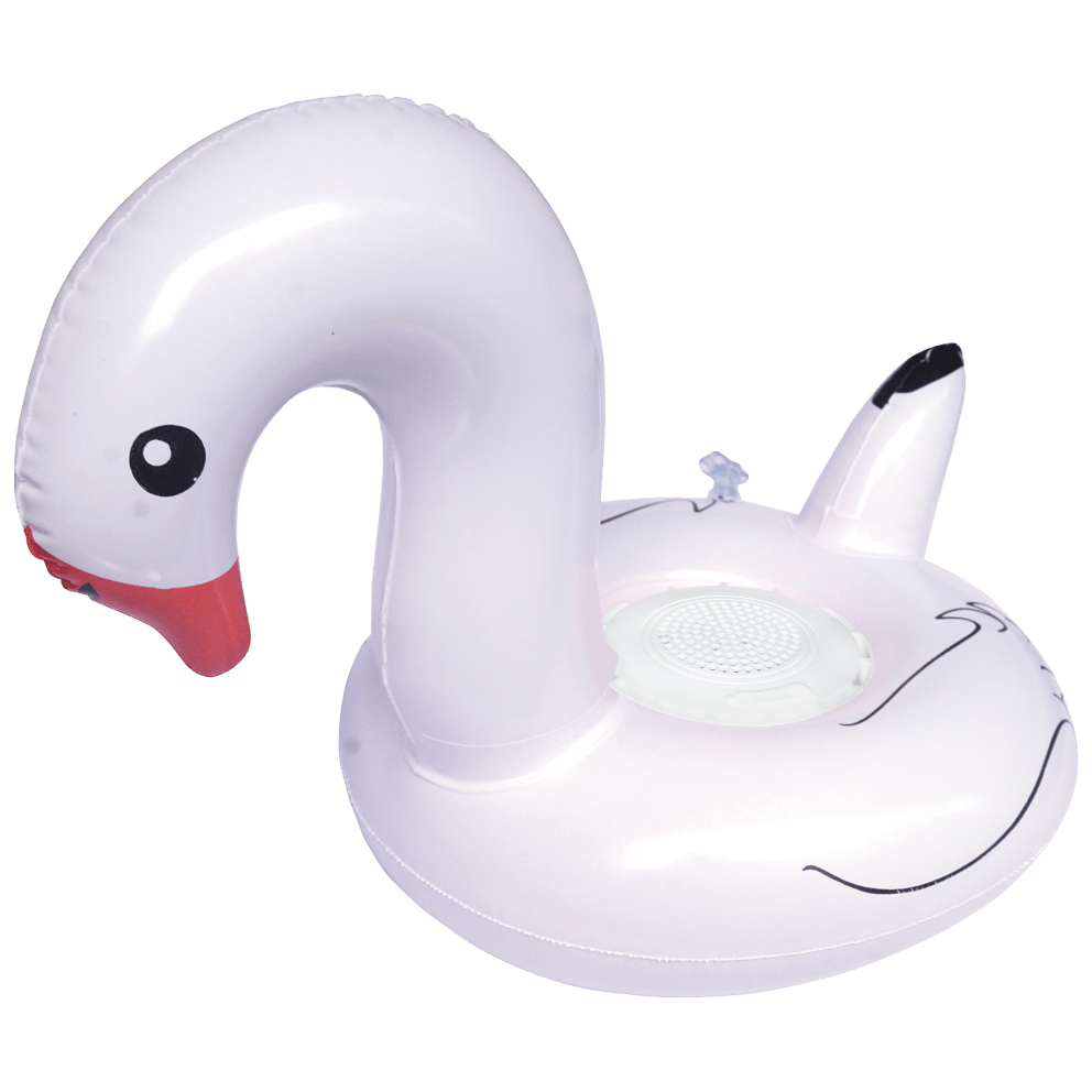Swan