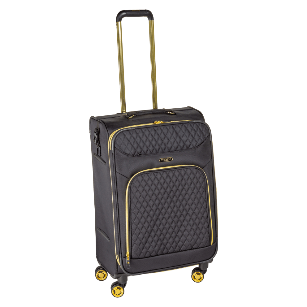 25" Medium Check-In Luggage