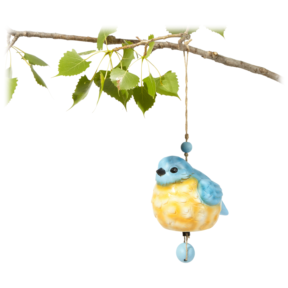 Blue Bird