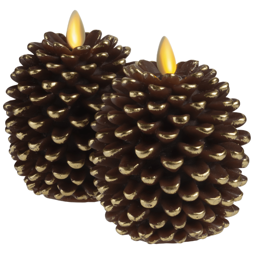 Brown Pine Cone